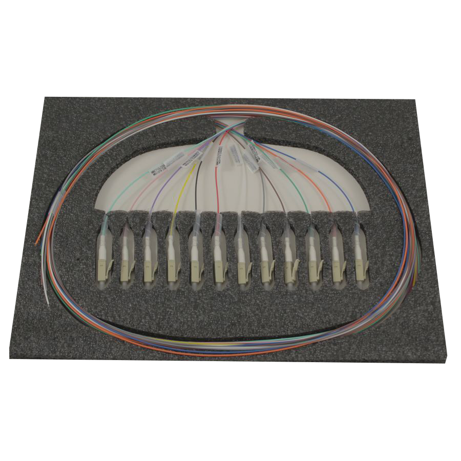 PIGLC2OM3B12