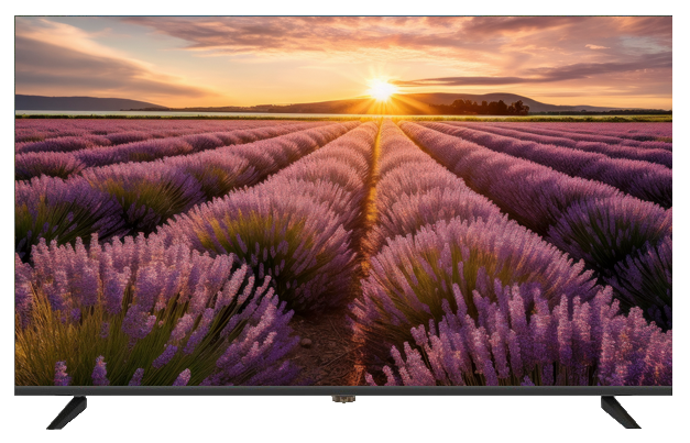 ECRAN 4K 60HZ 55