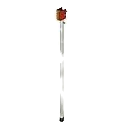 ELUMS1