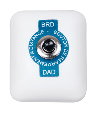 [DADBRD] DADBRD