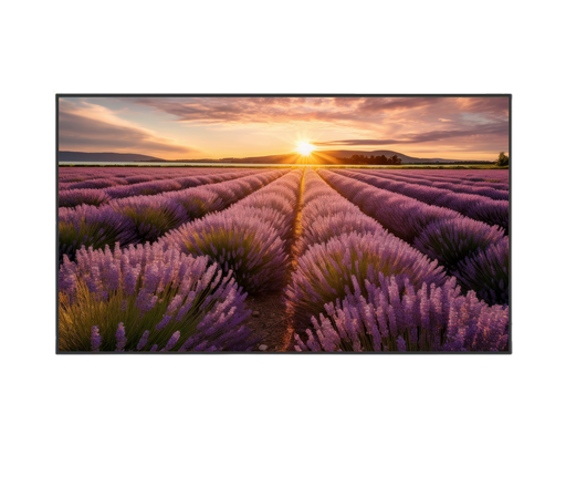[TLMV654K] Écran métallique de 55 pouces 4K, HDMI VGA SPEAKER (copier)