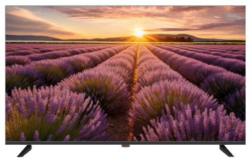 [TLMV554KV2] ECRAN 4K 60HZ 55